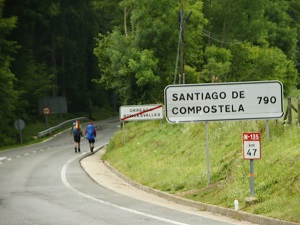 GR65 Hiking from Larribar-Sorhapuru (Pyrenees-Atlantiques) to Roncesvalles (Spain) 7