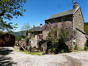 GR66 Hiking around Mount Aigoual (Cevennes National Park) 6