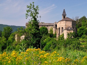 GR66 Randonnée autour du Mont Aigoual (Cévennes) 7