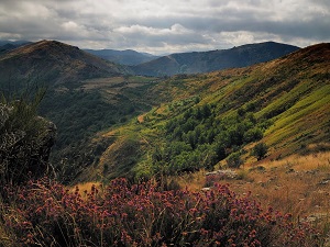 GR67 Hiking around the Cevenol Region (Cevennes) 5