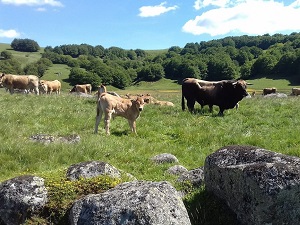 GR®670 De Nasbinals à St Germain de Calberte (Lozère) 4