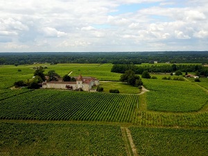 GR6 Randonnée de Villandraut à Ste Foy-la-Grande (Gironde) 3