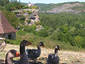 GR6 Hiking from Eyzies-de-Tayac-Sireuil (Dordogne) to Lacapelle-Marival (Lot) 5