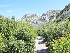 GR6 Randonnée sur le GR®6 de Ners (Gard) à Aureille (Bouches-du-Rhône)