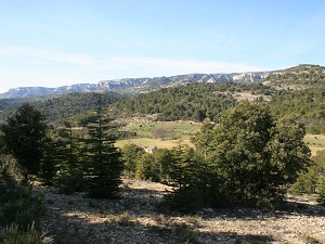 GR6 Randonnée de Aureille (Bouches-du-Rhône) à Viens (Vaucluse) 4