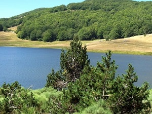 GR71 Hiking from L'Esperou (Gard) to Lodeve (Herault) 4