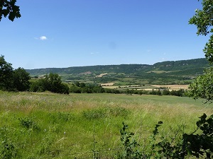 GR®71C Randonnée sur le chemin des Templiers et des Hospitaliers (Aveyron) 7