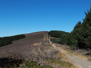 GR®736 Hiking along Tarn Valley and Gorges (Lozere, Aveyron, Tarn) (Lozère, Aveyron, Tarn) 5