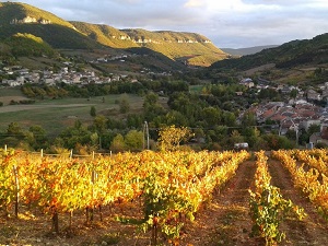 GR736 Hiking from La Malene (Lozere) to Ayssenes (Aveyron) 6