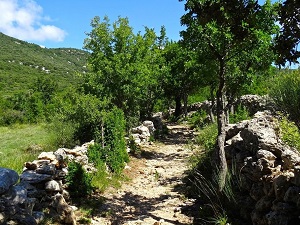 GR74 Hiking from St Maurice-Navacelles to Jouquet (Herault) 3