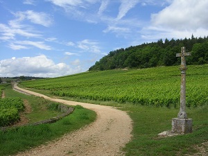 GR76 Hiking from Chagny (Saone-et-Loire) to Affoux (Rhone) 4