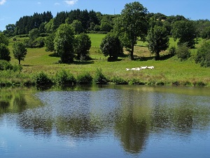 GR®765 Hiking from Cluny (Saone-et-Loire) to Puy-en-Velay (Haute-Loire) 4