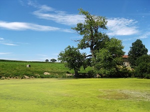 GR®765 Hiking from Cluny (Saone-et-Loire) to Puy-en-Velay (Haute-Loire) 7