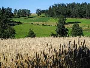 GR®765 WEST From Montarcher (Loire) to Polignac (Haute-Loire) 3