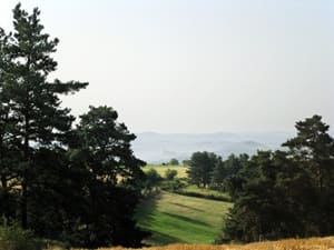 GR®765 WEST From Montarcher (Loire) to Polignac (Haute-Loire) 4