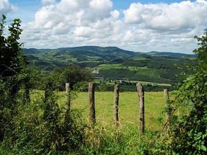 GR®765 Hiking from Cluny (Saone-et-Loire) to Bully (Loire) 5