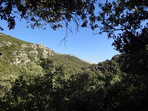 GR77 Randonnée du Saut de Vézoles (Hérault) au Signal de l'Alaric (Aude) 6