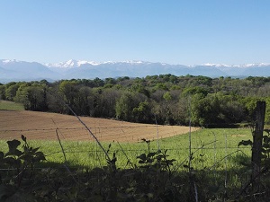 GR782 Henri IV Way. Hiking from Lourdes (Hautes-Pyrenees) to Artiguelouve (Pyrenees-Atlantiques) 6