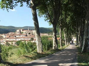 GR®787 Randonnée de St-Gervais-sur-Mare à Capestang (Hérault) 4