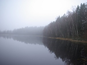 GR7 Hiking from Ballon d'Alsace to Darney (Vosges) 5