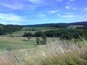 GR7 Randonnée de Darney (Vosges) à Langres (Haute-Marne) 5