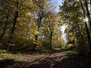 GR7 Hiking from Langres (Haute-Marne) to Velars-sur-Ouche (Cote d'Or) 6