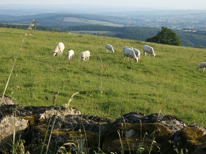 GR7 Hiking from Le Puley (Saone and Loire) to Les Sauvages (Rhone) 3