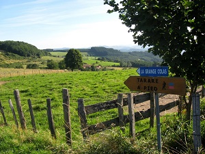 GR7 Hiking from Les Sauvages (Rhone) to Charousse Pass (Haute-Loire, Ardeche) 3