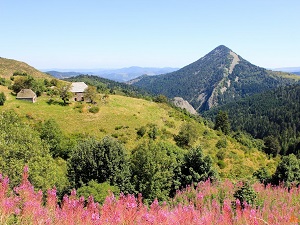 GR7 Hiking from Charousse Pass (Haute-Loire, Ardeche) to La Bastide-Puylaurent (Lozere) 4