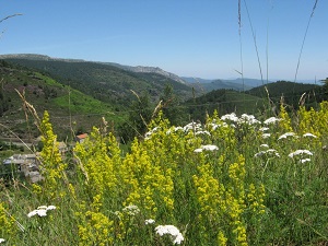 GR7 Hiking from La Bastide-Puylaurent (Lozere) to L'Esperou (Gard) 5