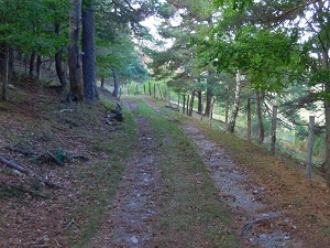 GR7 Hiking from La Bastide-Puylaurent (Lozere) to L'Esperou (Gard) 6