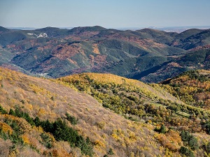 GR7 Randonnée de Boussagues (Hérault) à Mazamet (Tarn) 5