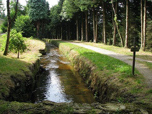 GR7 Randonnée de Mazamet (Tarn) à Mirepoix (Ariège) 5