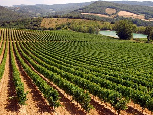 GR7 Randonnée de Mazamet (Tarn) à Mirepoix (Ariège) 7