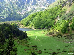 GR7 Hiking from Mirepoix (Ariege) to Portella Blanca of Andorra (France-Spain)