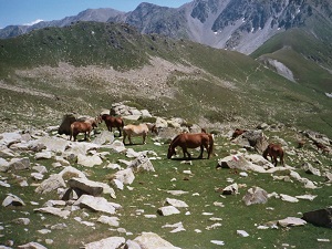 5.GR7 Randonnée de Mirepoix (Ariège) à Portella Blanca d'Andorra (France-Espagne)