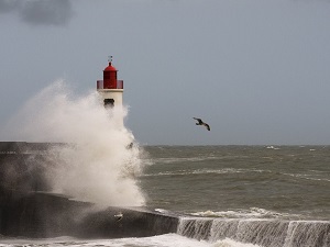 GR8 Randonnée de Saint-Brevin-les-Pins (Loire-Atlantique) à La Barre-de-Monts (Vendée) 6