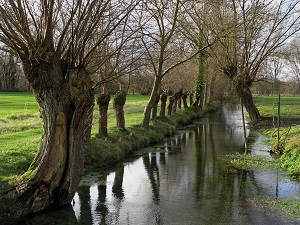 GR®800 Hiking from Fonsomme (Aisne) to Chipilly (Somme) 3