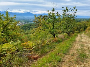 GR861 Via Garona From Toulouse to St-Bertrand-de-Comminges (Haute-Garonne) 7