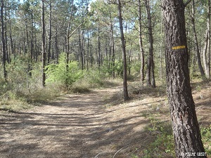 GR8 Hiking from La Barre-de-Monts to Ile-d'Olonne (Vendee) 3