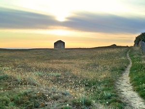 GR8 Hiking from Ile-d'Olonne to Sevre Niortaise River (Vendee) 3