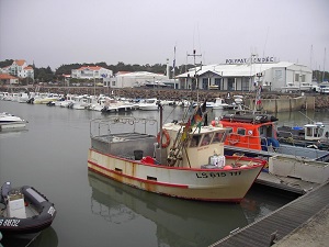 GR8 Randonnée de L'Ile-d'Olonne au fleuve de la Sèvre Niortaise (Vendée) 5