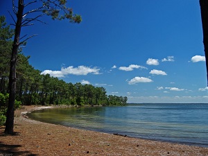 GR8 Walking from Contaud to Cap-Ferret (Gironde) 3