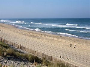 GR8 Walking from Contaud to Cap-Ferret (Gironde) 4