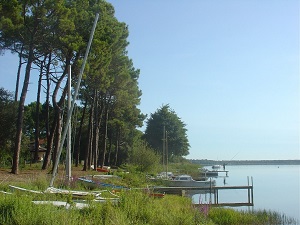 GR8 Walking from Contaud to Cap-Ferret (Gironde) 5