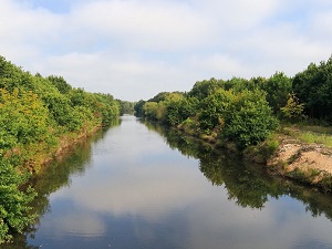 GR8 Walking from Contaud to Cap-Ferret (Gironde) 6