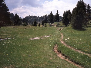 GR93 Randonnée de Valence TGV à Lus-la-Croix-Haute (Drôme) 6