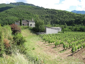 GR95 Randonnée de Saillans à Lus-la-Croix-Haute (Drôme) 3