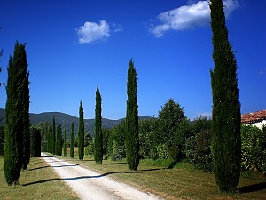 GR®97 Around Luberon (Vaucluse, Alpes-de-Haute-Provence) 6