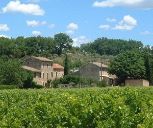 GR®97 Around Luberon (Vaucluse, Alpes-de-Haute-Provence) 7